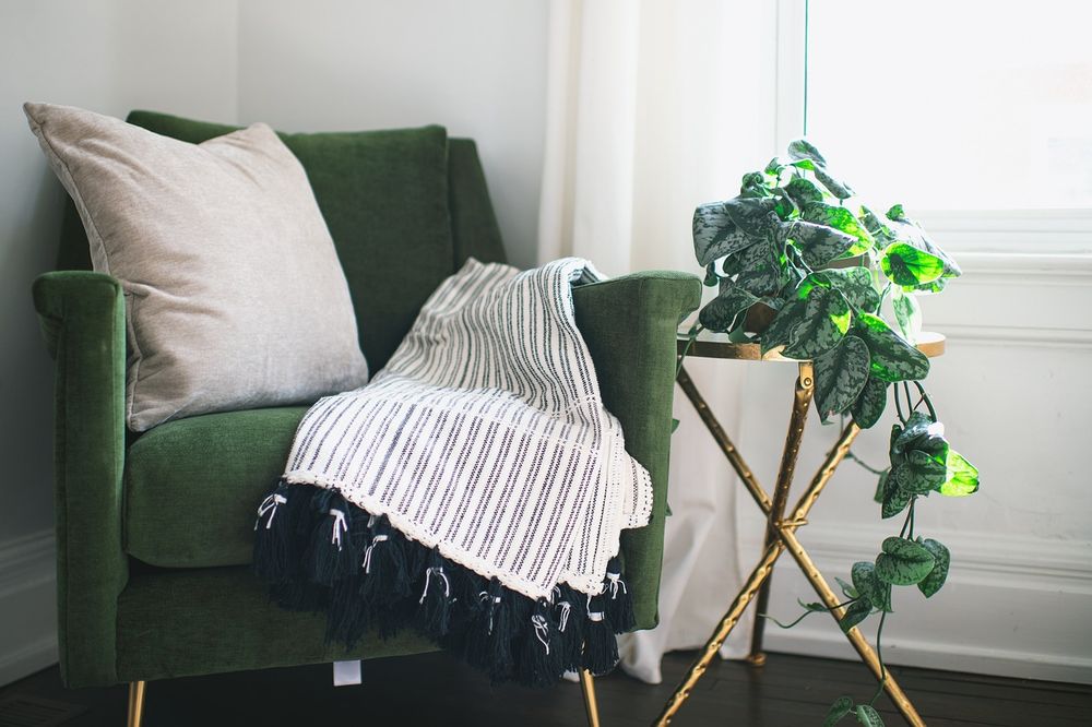 A deep green velvet lounge chair with a striped throw beside a plant